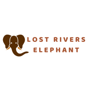Lost Rivers Elephant